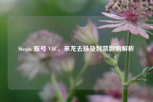 Steam 账号 VAC,来龙去脉及封禁影响解析