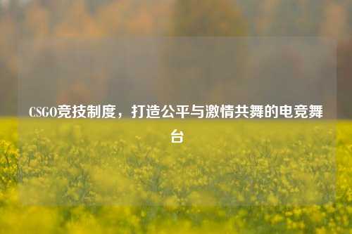 CSGO竞技制度,打造公平与激情共舞的电竞舞台