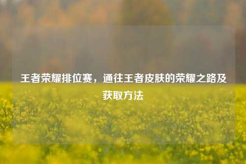 王者荣耀排位赛,通往王者皮肤的荣耀之路及获取方法