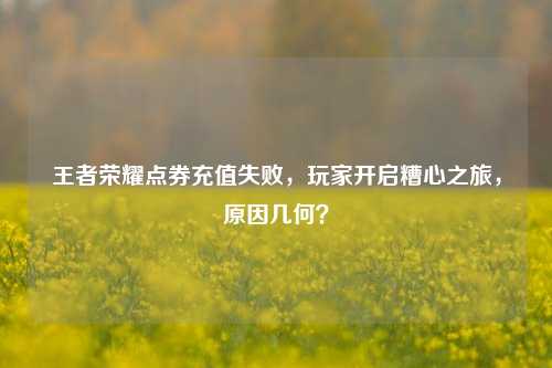 王者荣耀点券充值失败,玩家开启糟心之旅,原因几何?