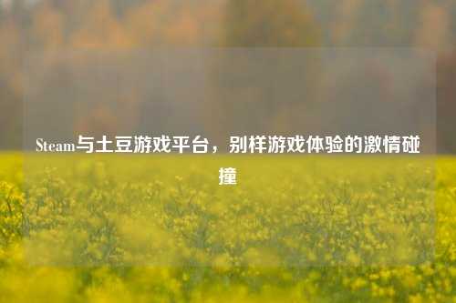 Steam与土豆游戏平台，别样游戏体验的激情碰撞