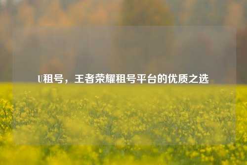 U租号，王者荣耀租号平台的优质之选