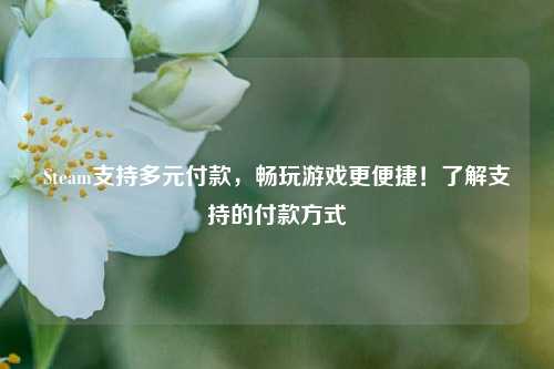 Steam支持多元付款,畅玩游戏更便捷!了解支持的付款方式