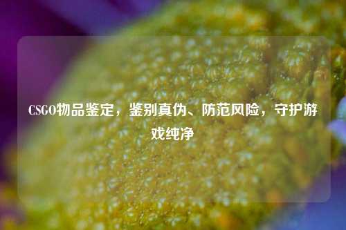 CSGO物品鉴定,鉴别真伪、防范风险,守护游戏纯净
