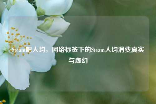 Steam吧人均,网络标签下的Steam人均消费真实与虚幻