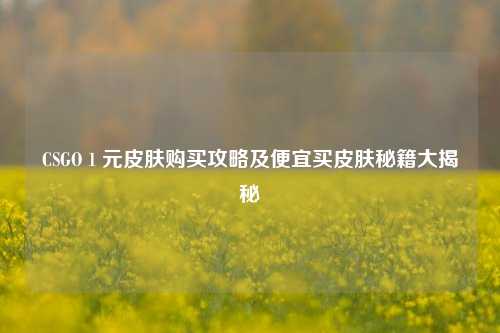 CSGO 1 元皮肤购买攻略及便宜买皮肤秘籍大揭秘