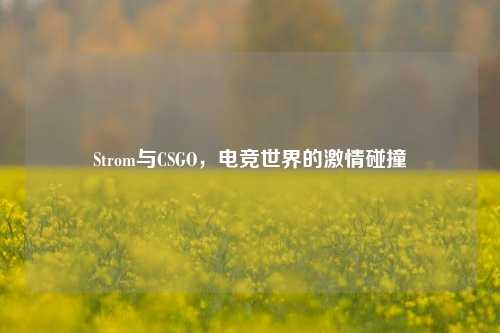 Strom与CSGO,电竞世界的激情碰撞