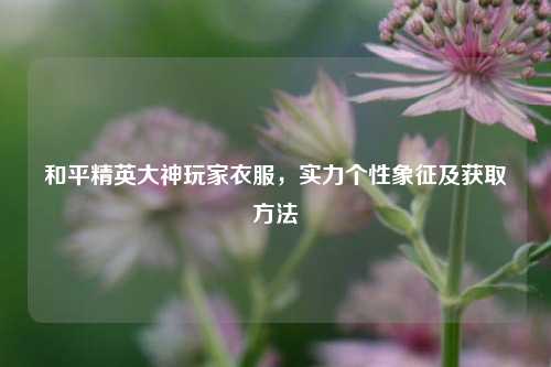 和平精英大神玩家衣服，实力个性象征及获取方法