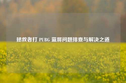 拯救者打 PUBG 蓝屏问题排查与解决之道