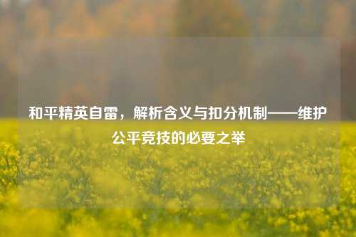 和平精英自雷,解析含义与扣分机制——维护公平竞技的必要之举