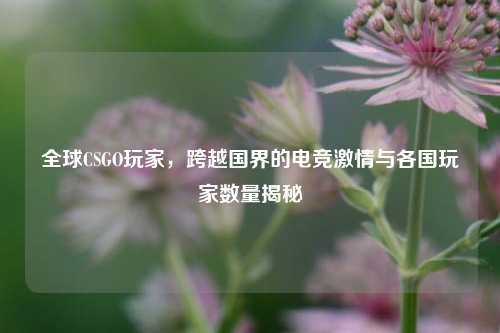 全球CSGO玩家,跨越国界的电竞激情与各国玩家数量揭秘