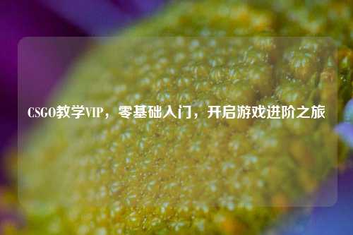 CSGO教学VIP,零基础入门,开启游戏进阶之旅