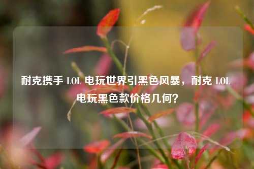 耐克携手 LOL 电玩世界引黑色风暴,耐克 LOL 电玩黑色款价格几何?