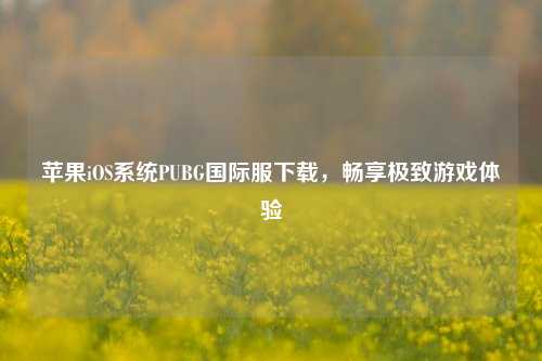 苹果iOS系统PUBG国际服下载，畅享极致游戏体验