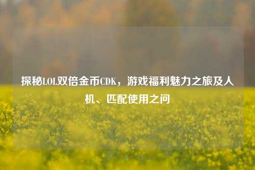 探秘LOL双倍金币CDK，游戏福利魅力之旅及人机、匹配使用之问