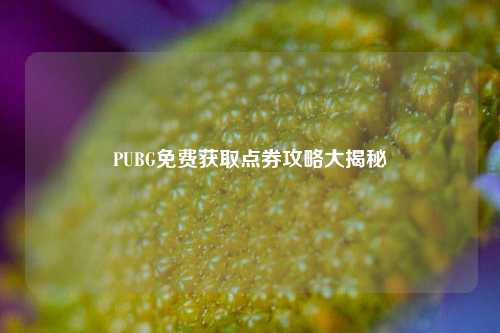 PUBG免费获取点券攻略大揭秘