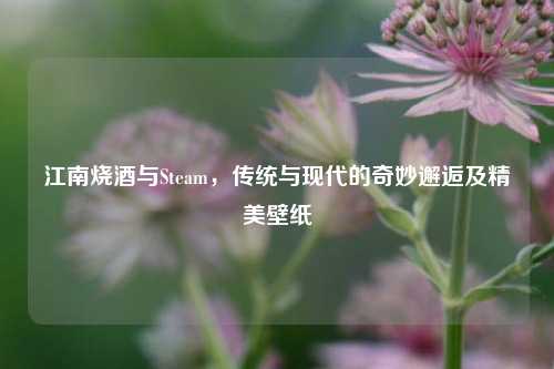 江南烧酒与Steam，传统与现代的奇妙邂逅及精美壁纸