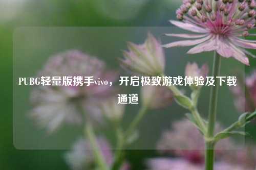 PUBG轻量版携手vivo,开启极致游戏体验及下载通道