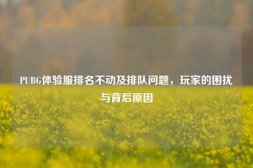 PUBG体验服排名不动及排队问题,玩家的困扰与背后原因