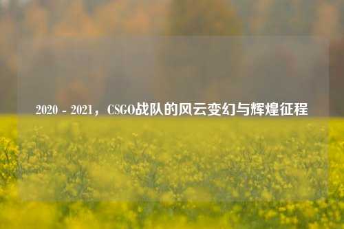2020 - 2021，CSGO战队的风云变幻与辉煌征程