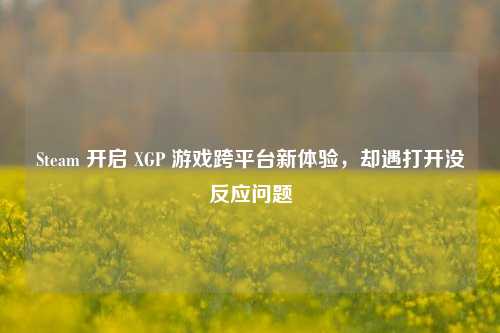 Steam 开启 XGP 游戏跨平台新体验,却遇打开没反应问题