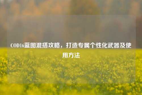 COD16蓝图混搭攻略，打造专属个性化武器及使用方法