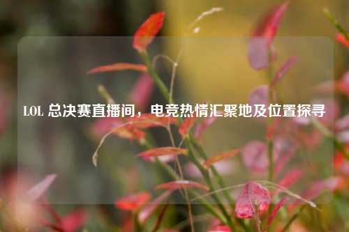 LOL 总决赛直播间,电竞热情汇聚地及位置探寻
