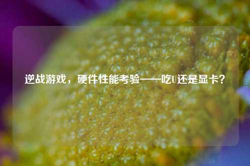 逆战游戏，硬件性能考验——吃U还是显卡？