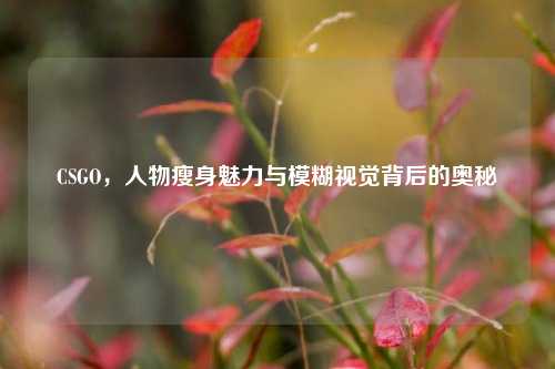 CSGO,人物瘦身魅力与模糊视觉背后的奥秘