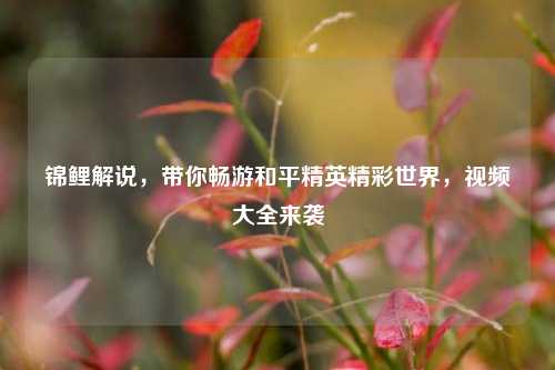 锦鲤解说,带你畅游和平精英精彩世界,视频大全来袭