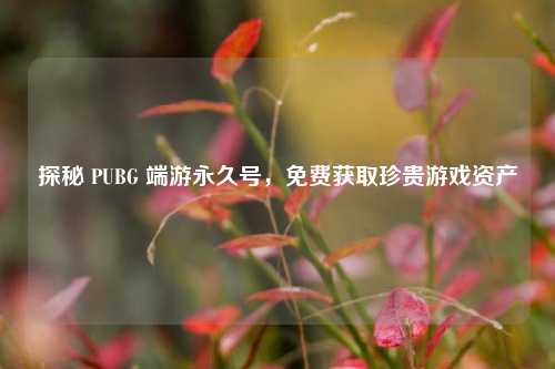 探秘 PUBG 端游永久号，免费获取珍贵游戏资产