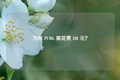 为何 PUBG 需花费 188 元?