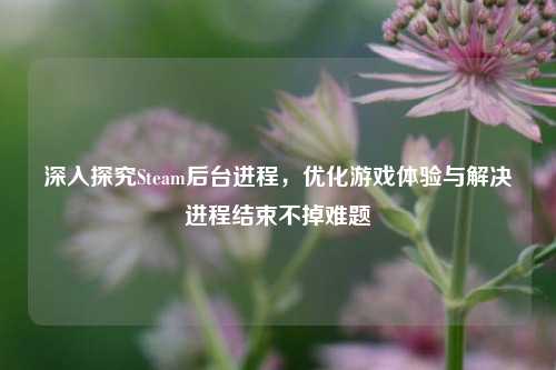深入探究Steam后台进程,优化游戏体验与解决进程结束不掉难题