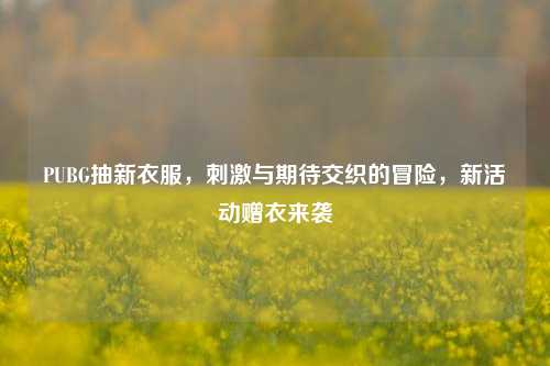 PUBG抽新衣服，刺激与期待交织的冒险，新活动赠衣来袭