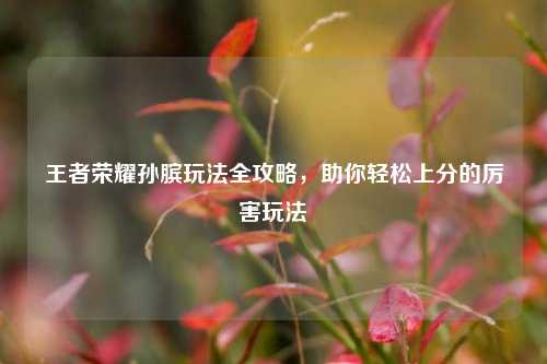 王者荣耀孙膑玩法全攻略,助你轻松上分的厉害玩法