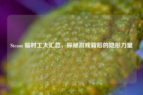Steam 临时工大汇总,探秘游戏背后的隐形力量