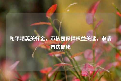 和平精英关怀金，审核是保障权益关键，申请方法揭秘