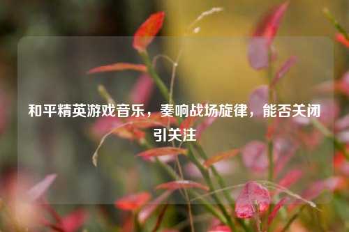 和平精英游戏音乐，奏响战场旋律，能否关闭引关注