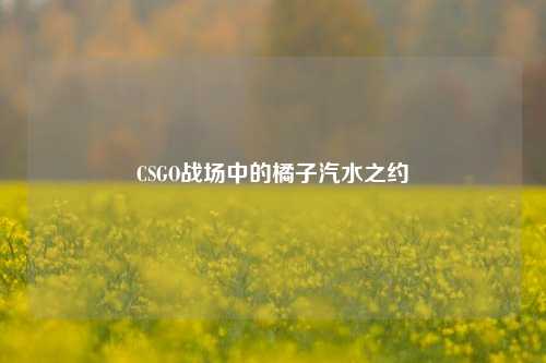 CSGO战场中的橘子汽水之约