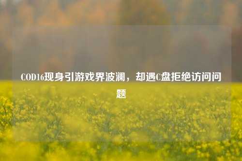 COD16现身引游戏界波澜，却遇C盘拒绝访问问题