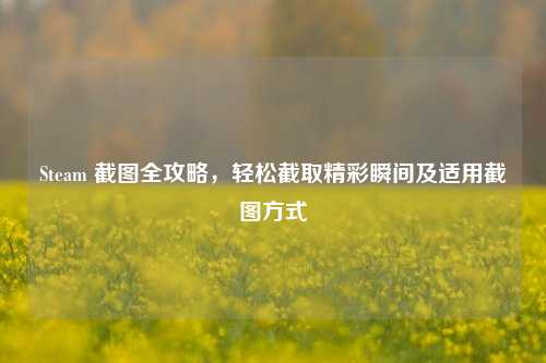 Steam 截图全攻略,轻松截取精彩瞬间及适用截图方式