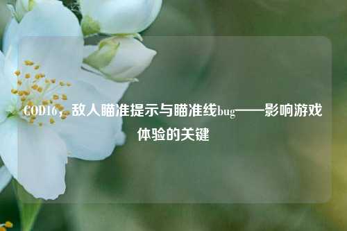 COD16,敌人瞄准提示与瞄准线bug——影响游戏体验的关键
