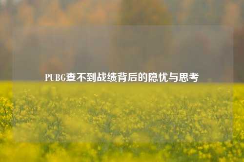 PUBG查不到战绩背后的隐忧与思考