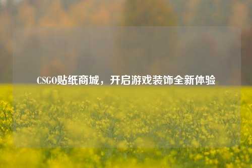 CSGO贴纸商城，开启游戏装饰全新体验