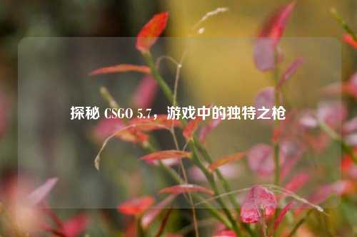 探秘 CSGO 5.7,游戏中的独特之枪