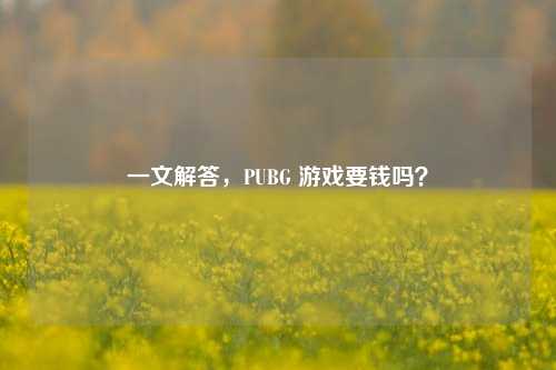 一文解答,PUBG 游戏要钱吗?