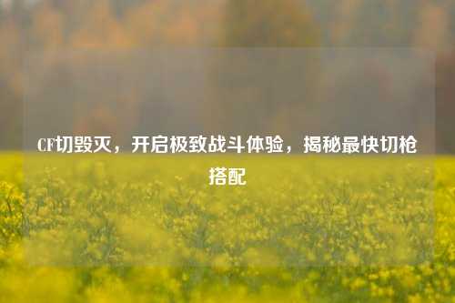 CF切毁灭,开启极致战斗体验,揭秘最快切枪搭配