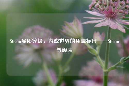 Steam品质等级,游戏世界的质量标尺——Steam等级表