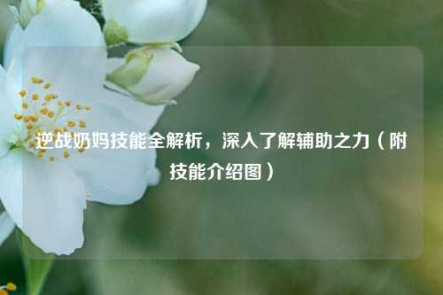 逆战奶妈技能全解析,深入了解辅助之力(附技能介绍图)