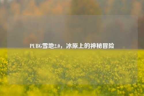 PUBG雪地2.0,冰原上的神秘冒险